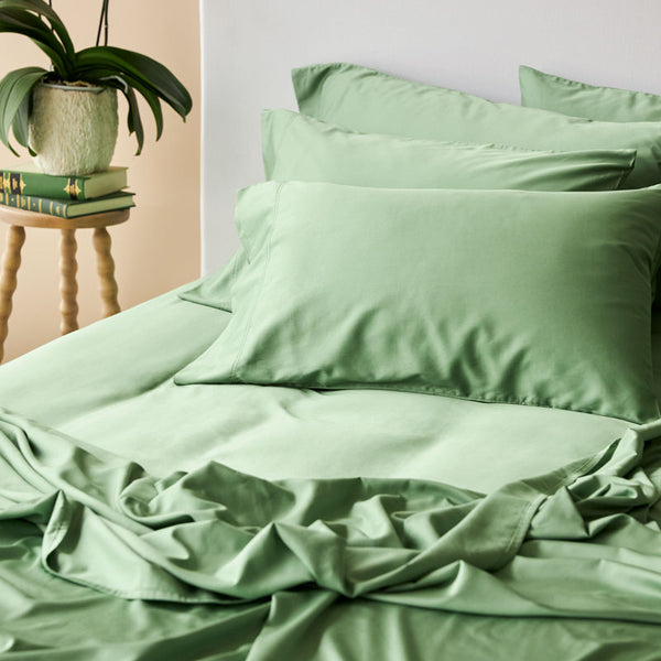 Bamboo Cotton Standard Pillowcase Pair - Apple