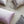 Load image into Gallery viewer, Mulberry Silk Pillowcase - Orchid
