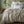 Load image into Gallery viewer, 100% Linen Duvet Cover Set - Natural (3671241556047)
