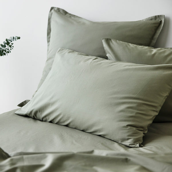 Fresh Cotton Percale Standard Pillowcase Pair